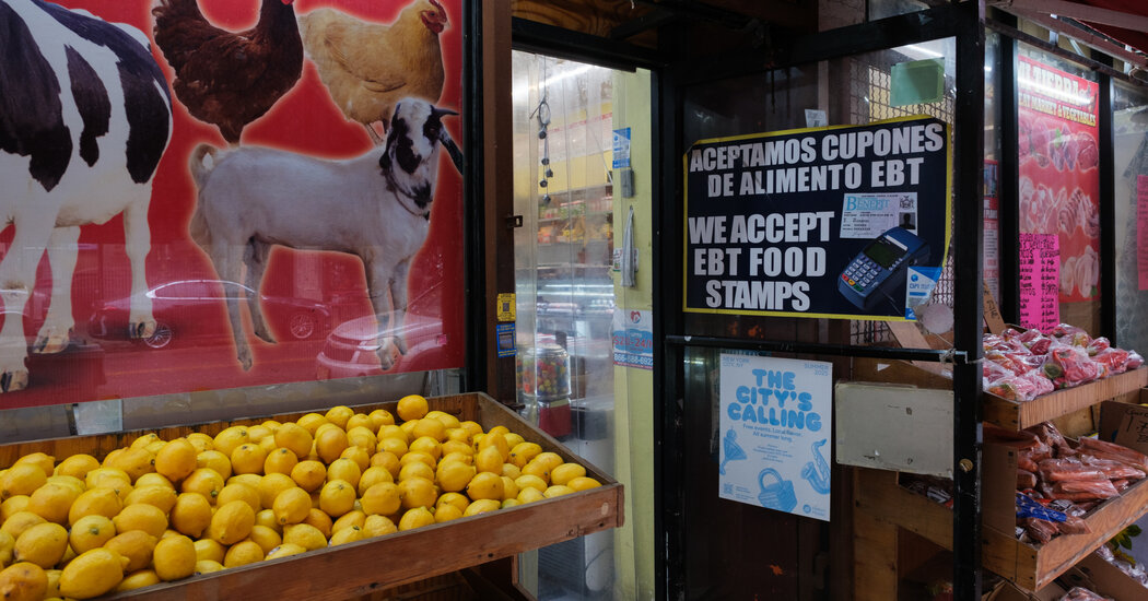 What Is Happening With SNAP Benefits During the Shutdown?