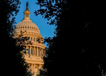 What to know on airport travel, social security, student loans, military, SNAP and more