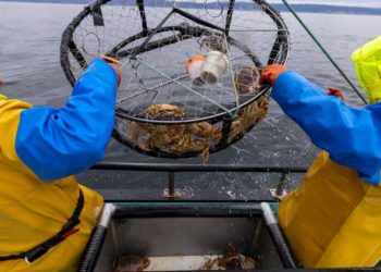 Why holiday crab tradition in California faces a disrupted season