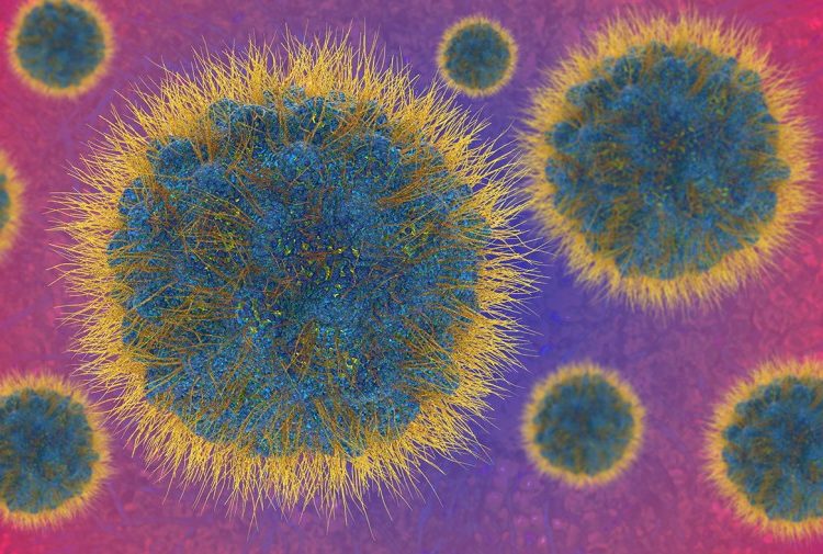 Why new mpox cases in California are raising concerns