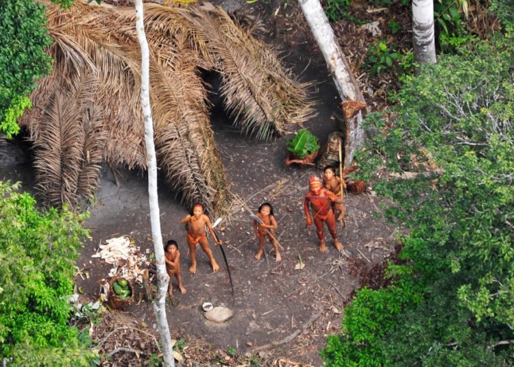 Why the survival of uncontacted Indigenous peoples is under growing threat