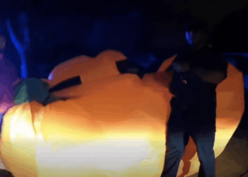 Wild video captures police struggle to capture giant runaway inflatable pumpkin