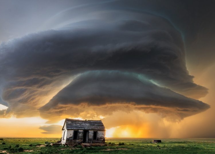 Winners of the 2025 Epson International Pano Awards