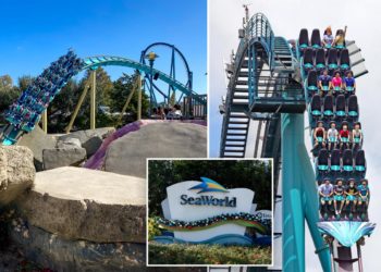 Woman knocked unconscious by flying duck on SeaWorld roller coaster sues for $50K