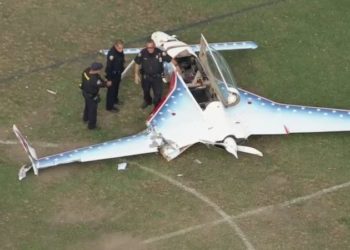 Woman struck by small plane during crash-landing at California park