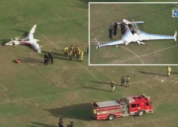 Woman struck by small plane that crashed into busy California park