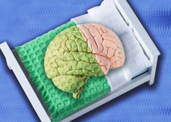 Your Terrible Sleep Habits Are Killing Your Brain Faster Than You Think