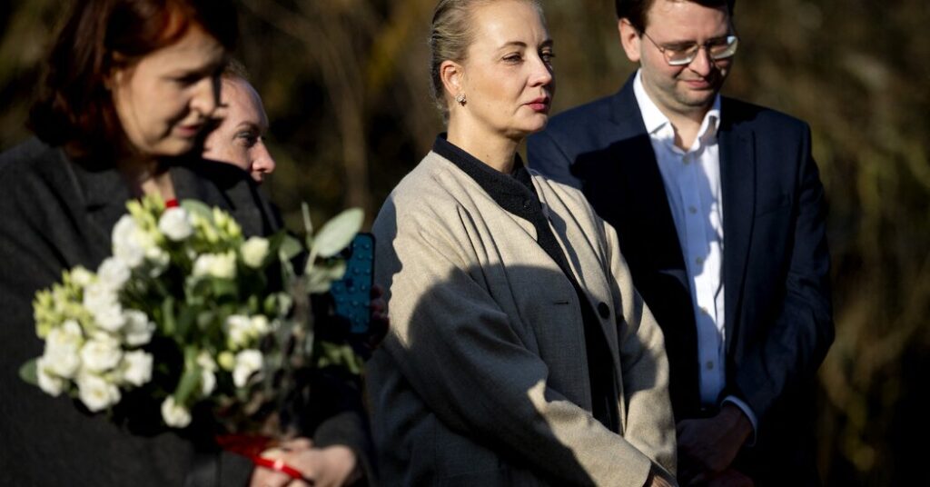 Russian Exiles See Europe Visa Rule as Blow Against Them, Not Putin