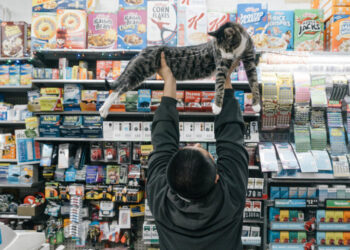 Local Lens: A Photo Essay Contest for Exploring the Place Where You Live