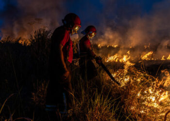 Stopping the Greatest Threat to the Amazon, One Fire at a Time
