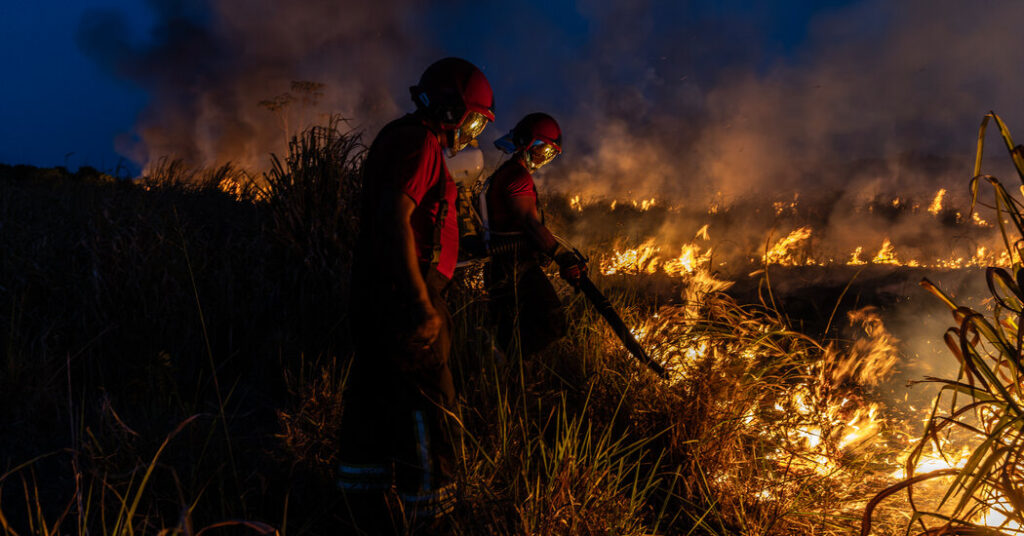 Stopping the Greatest Threat to the Amazon, One Fire at a Time