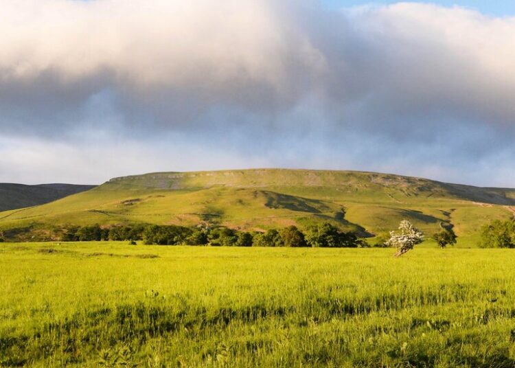 A Moving, Urgent Novel About … the Wind? Yes, the Wind.