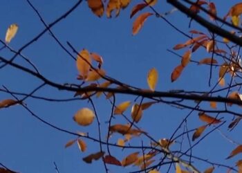 At This College, the English Dept. Is Out. ‘Human Narratives’ Is In.