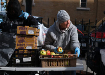 Inside a Chaotic Week for New York’s Food Stamp Program