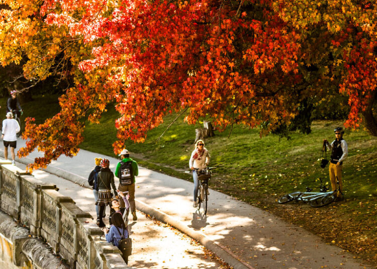 What Teenagers Are Saying About Their Fall Rituals and Traditions