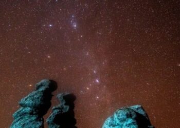How to Watch the Leonids Meteor Shower Reach Its Peak
