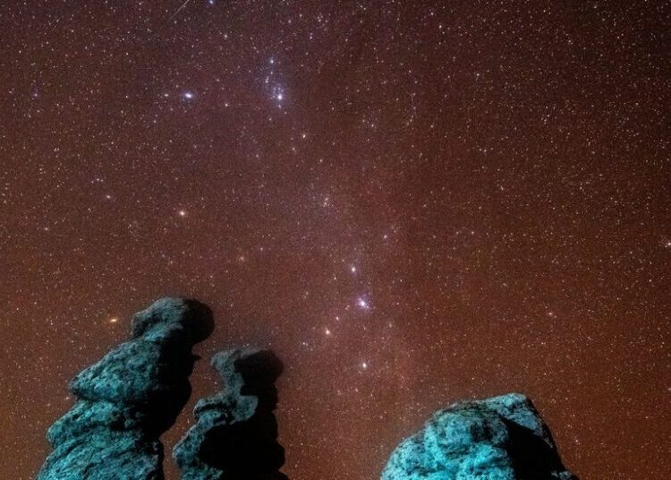 How to Watch the Leonids Meteor Shower Reach Its Peak