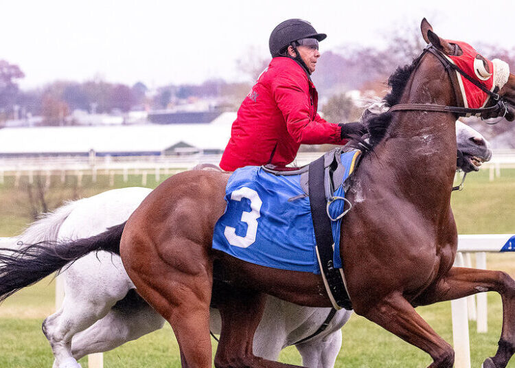 Head Them Off at the Pass? For These Riders, That’s Their Job.