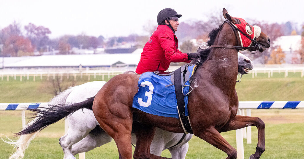 Head Them Off at the Pass? For These Riders, That’s Their Job.