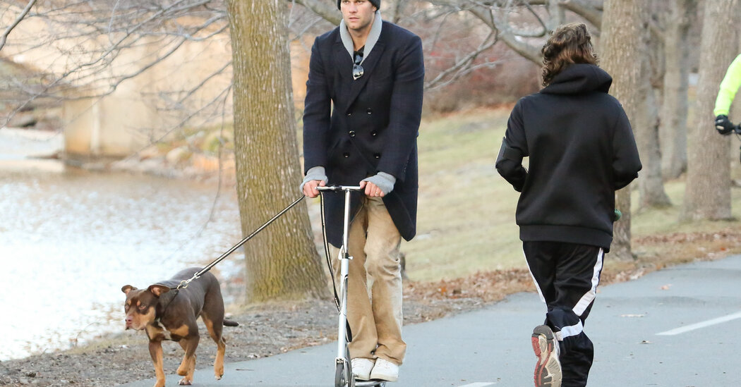 Would You Clone Your Pet?