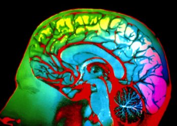 Science Practice | A Study on Color Perception