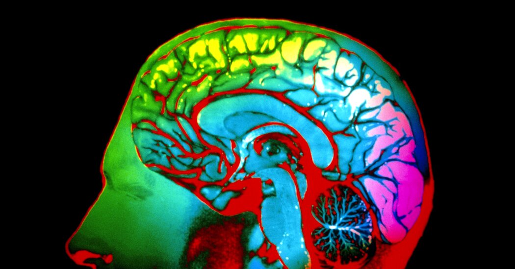 Science Practice | A Study on Color Perception