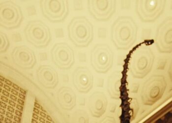 A Night at the Museum