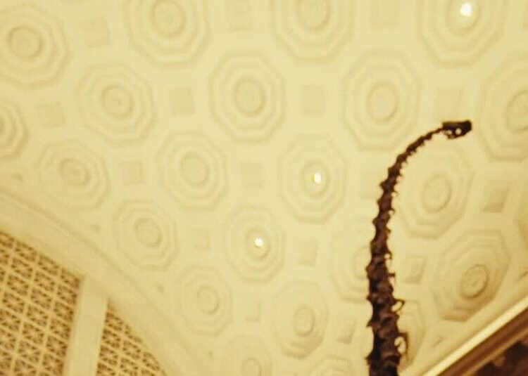 A Night at the Museum