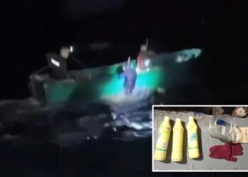 Philippine Navy stops Chinese fishermen suspected of using cyanide in catastrophic, illegal practice