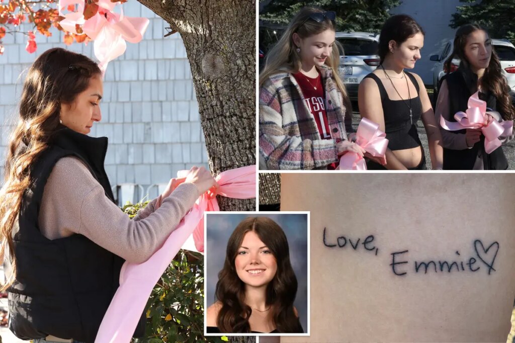 Friends honor Long Island teen slain in botched murder-suicide with pink ribbon tribute