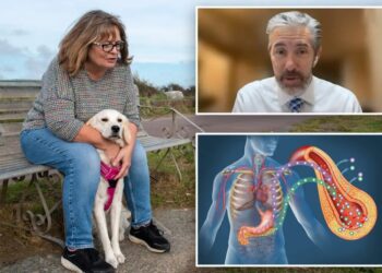 Ohio family claims dog detects deadly blood sugar crashes in diabetes patients before medical devices