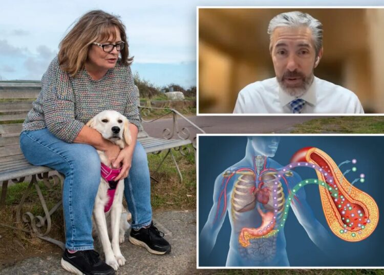 Ohio family claims dog detects deadly blood sugar crashes in diabetes patients before medical devices