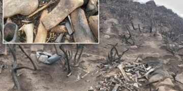 Park rangers discover ‘unusual’ pile of bones on iconic Scotland hill after a wildfire