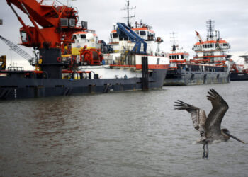 Trump Plans to Open More Than a Billion Acres of U.S. Waters to Drilling