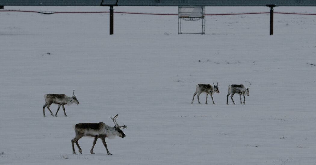 Trump Administration Revokes Biden Ban on Drilling and Mining in Alaska Wilderness