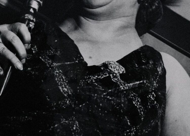 Pioneering U.S. Street Photography, With Vienna in the Background