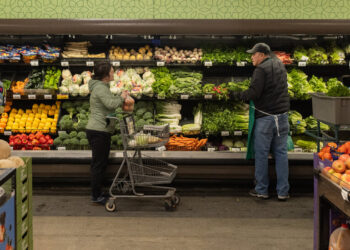 Food Stamps Are Resuming As Government Reopens