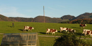 Switzerland Reaches Agreement With U.S. to Cut Tariff to 15%