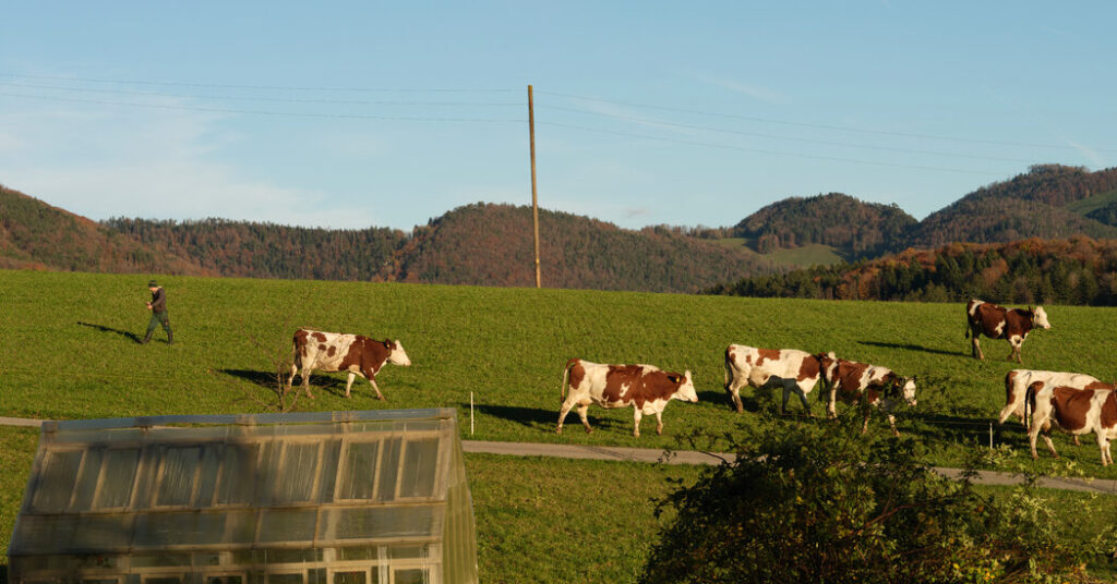 Switzerland Reaches Agreement With U.S. to Cut Tariff to 15%