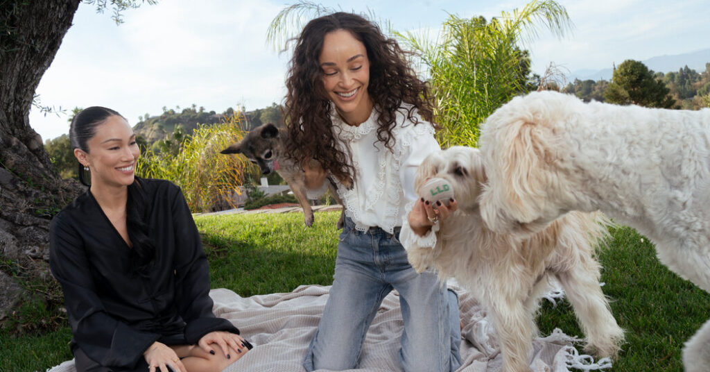 Like Goop, but for Dogs