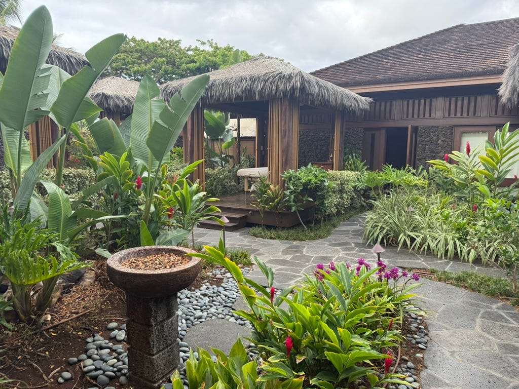Thatched-roof area with greenery in front of it