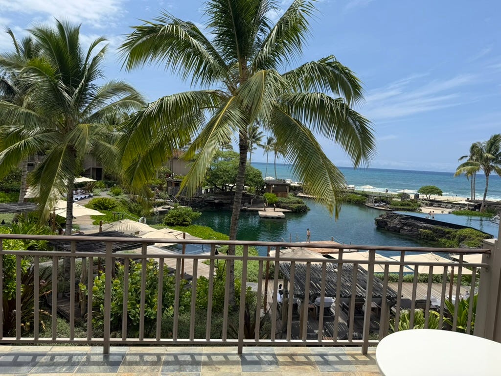 Palm trees over pond