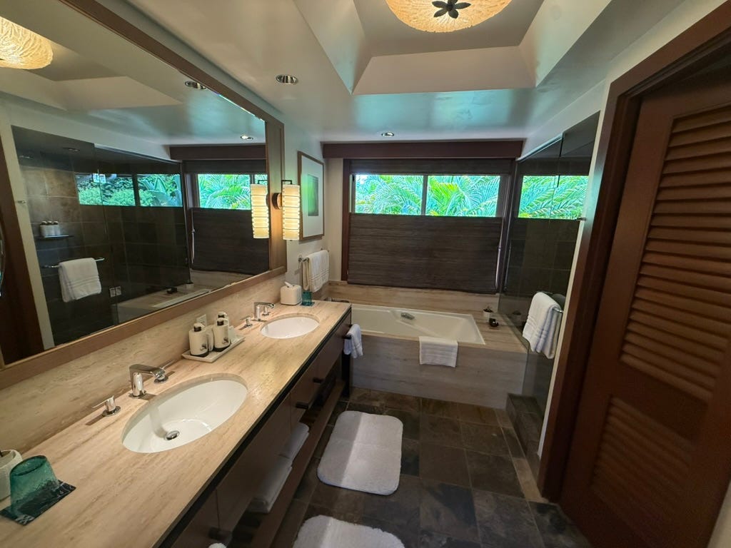 Bathroom with tub, ample counterspace, bathroom above tub