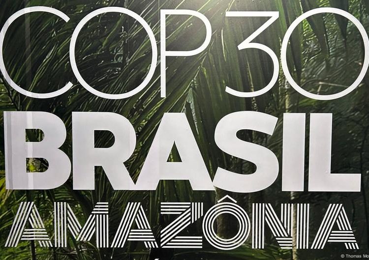 COP30: US not sending any high-level officials — White House