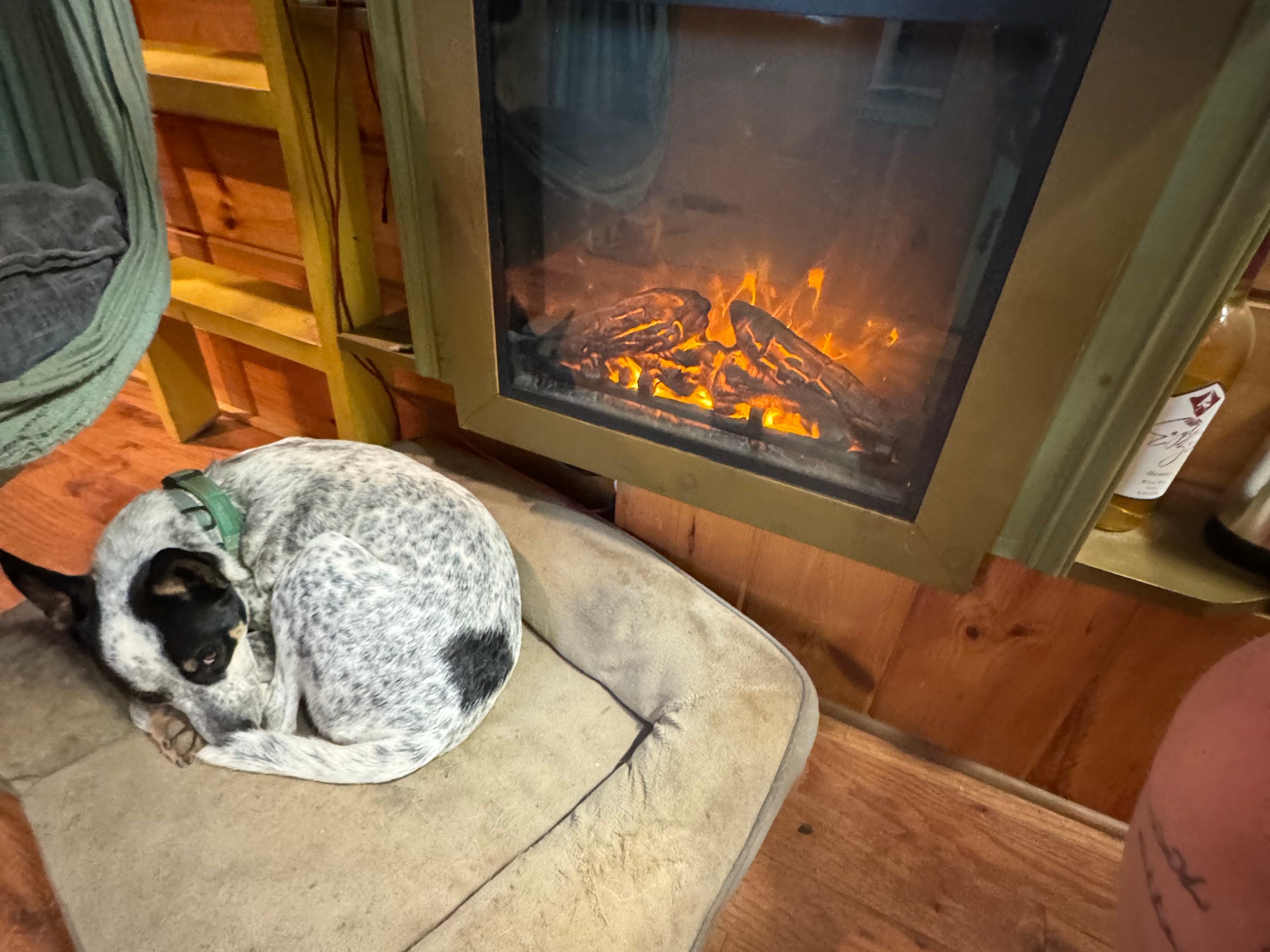 A dog lying on a pet bed in front of a fire