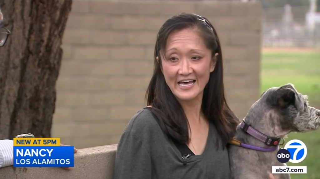 The owner, who identified herself as Nancy, said she took her two dogs, Arah and Tobie, for a walk in Laurel Park in the Orange County town of Los Alamitos on Oct. 20.