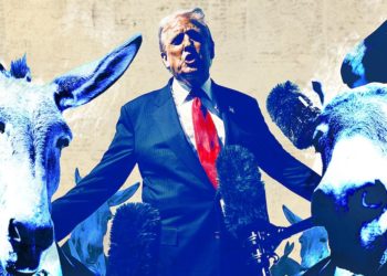 Trump Baffled That Dems Aren’t Caving to His Demands