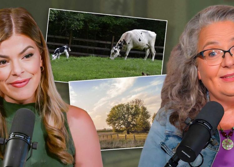 ‘Franken-wheat’: The real reason Americans can’t eat bread anymore