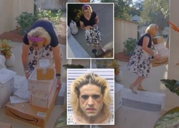 Cross-dressing porch pirate caught swiping packages had police baffled: ‘Particular look’