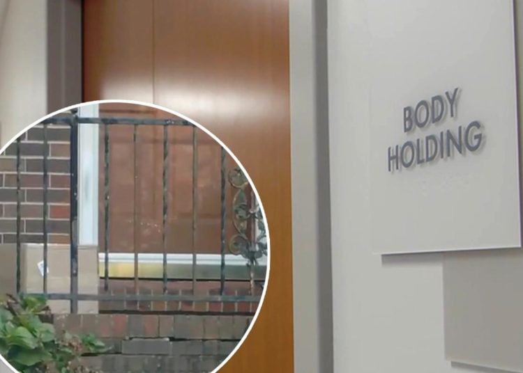 Kentucky woman receives package of human ‘arms and fingers’ instead of medicine delivery